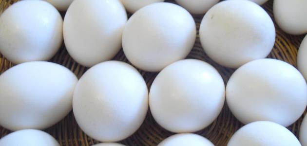 تفسير حلم رؤية البيض في المنام